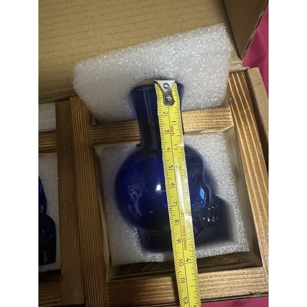 Halloween Skull Plant Terranium Color Blue New With Box 3 Vases 2 Wooden Frame